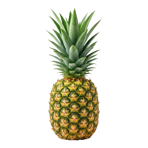 Abacaxi